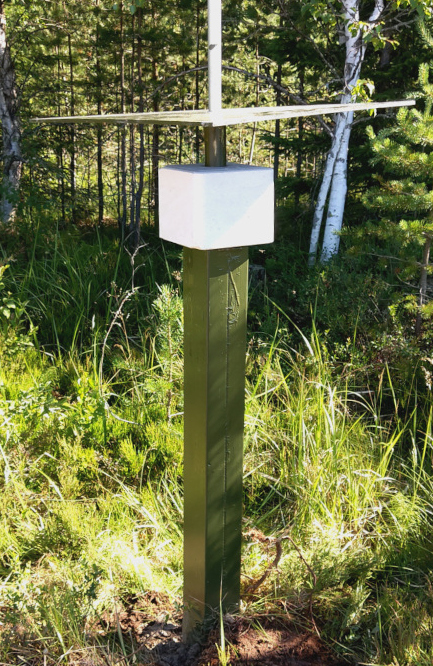 Nuolukivipaalu